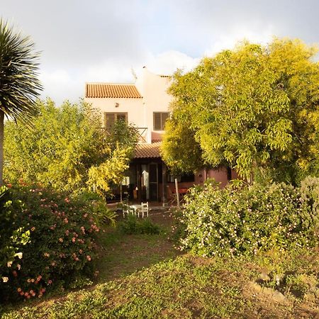 Home2Book Amazing Teide View & Terrace Sauzal Exterior photo
