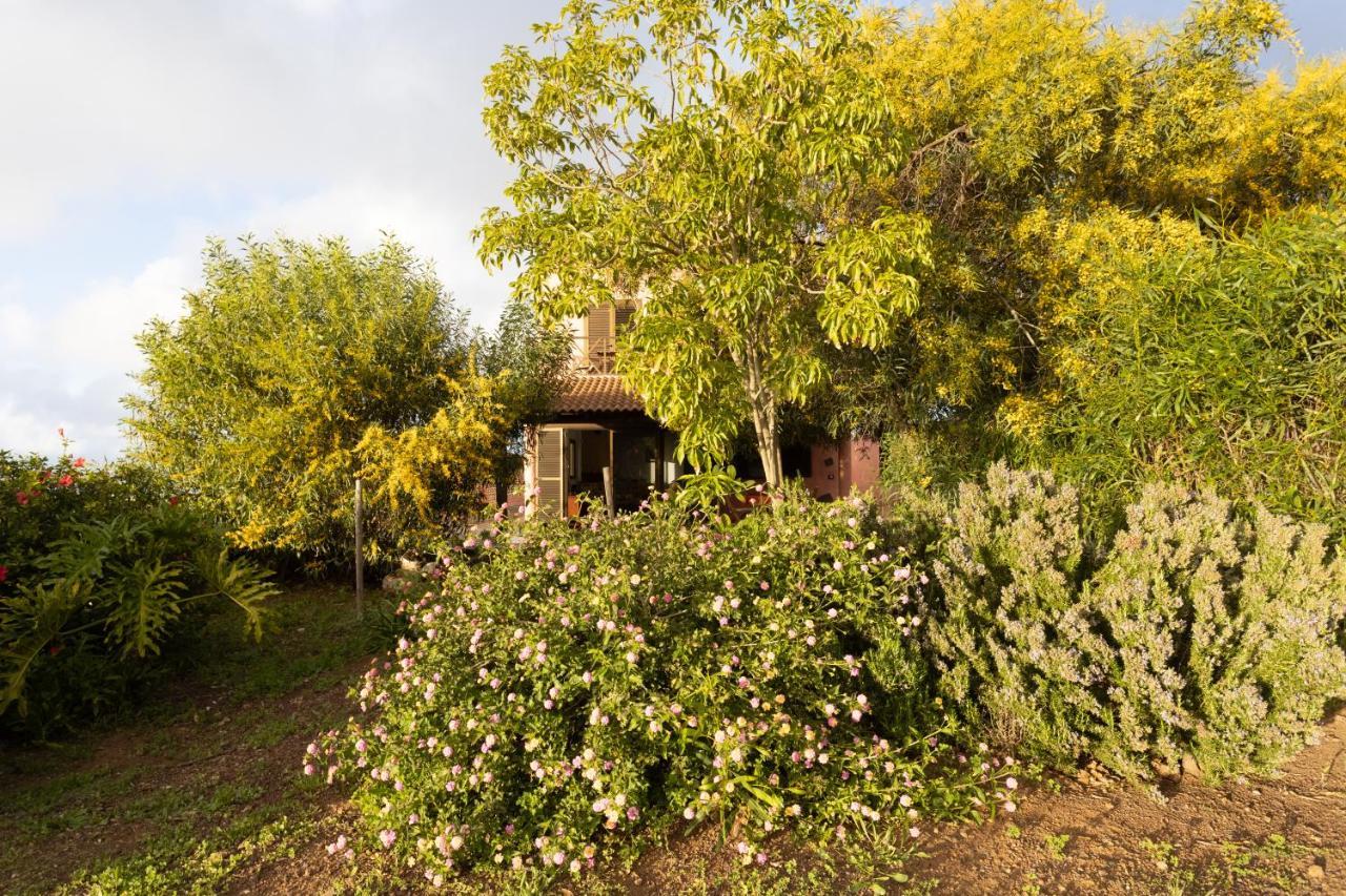 Home2Book Amazing Teide View & Terrace Sauzal Exterior photo