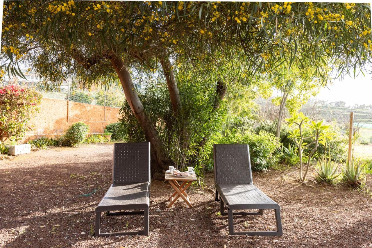 Home2Book Amazing Teide View & Terrace Sauzal Exterior photo